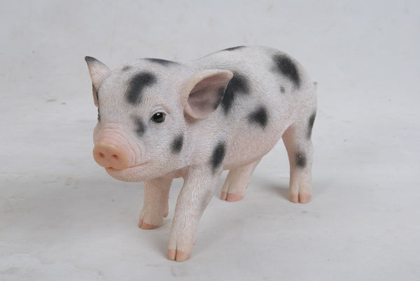 PIG - STANDING BABY PIG W/BLACK SPOTS