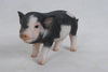 PIG - STANDING BABY PIG - DARK BROWN