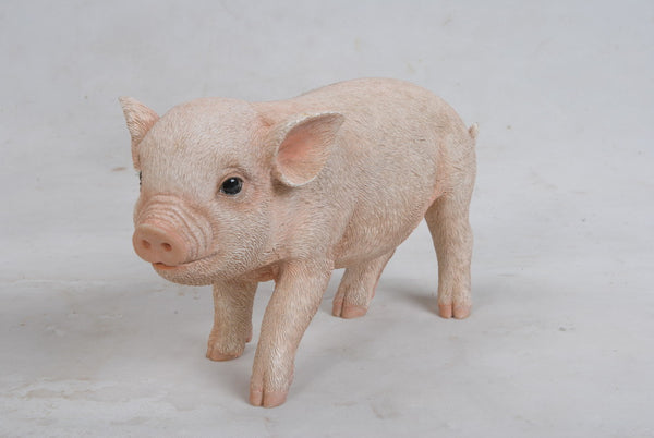PIG - STANDING BABY PIG