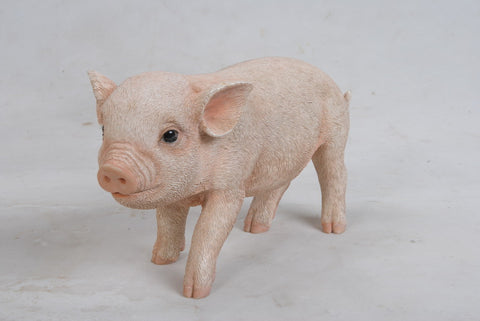 PIG - STANDING BABY PIG