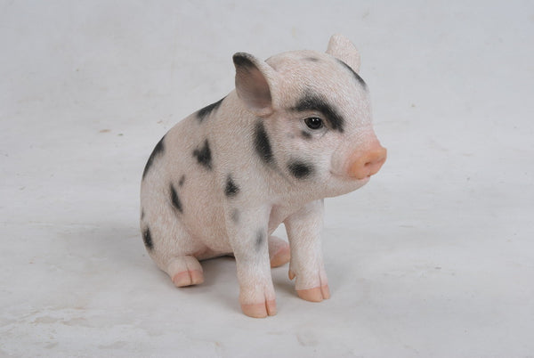 PIG - SITTING BABY PIG W/BLACK SPOTS