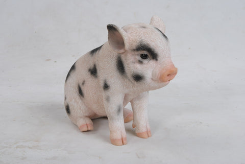 PIG - SITTING BABY PIG W/BLACK SPOTS
