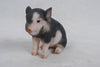 PIG - SITTING BABY PIG - DARK BROWN