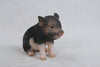 PIG - SITTING BABY PIG - DARK BROWN