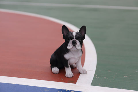French Bulldog Puppy