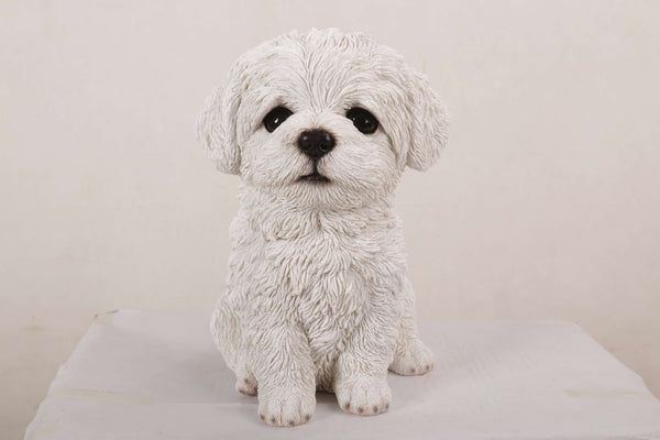 Pet Pals - Maltese Puppy