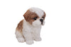Sitting Shih Tzu Puppy - Brown/White
