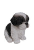 Sitting Shih Tzu Puppy - Black/White