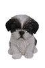 Sitting Shih Tzu Puppy - Black/White