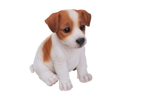 Sitting Jack Russel Terrier Puppy