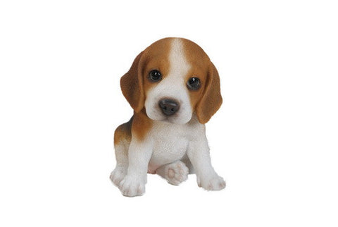 Sitting Beagle Puppy