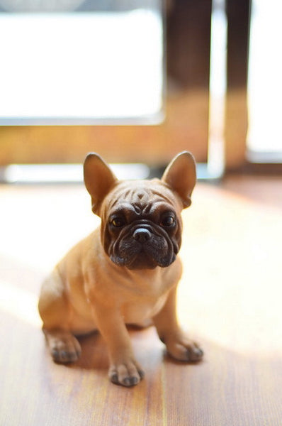 Sitting French Bulldog Puppy