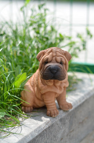 SITTING SHAR PEI PUPPY