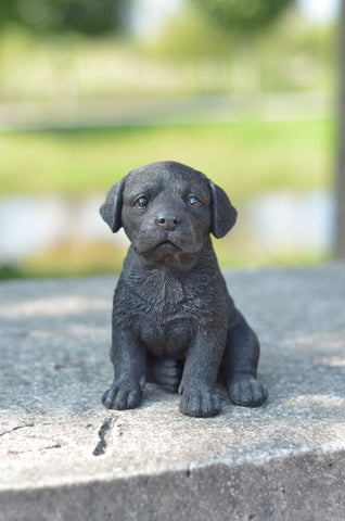 Black Labrador Puppy Statue