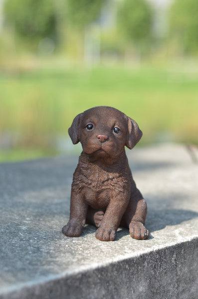 Chocolate Brown Labrador Puppy Statue
