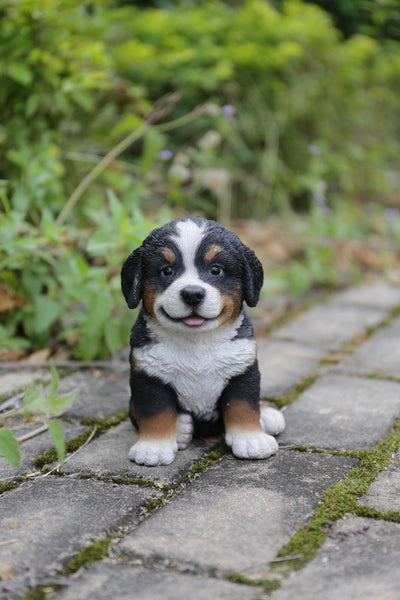 Bernese Mountain Dog Puppy Statue