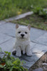 White Terrier Puppy Statue