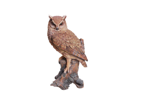 Great Horned Owl on Stump