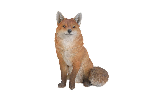 Sitting Fox