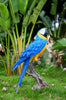 Macaw Blue and Yellow - Large