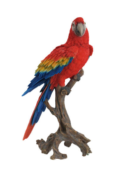 Macaw Scarlet - Large