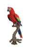 Macaw Scarlet - Large