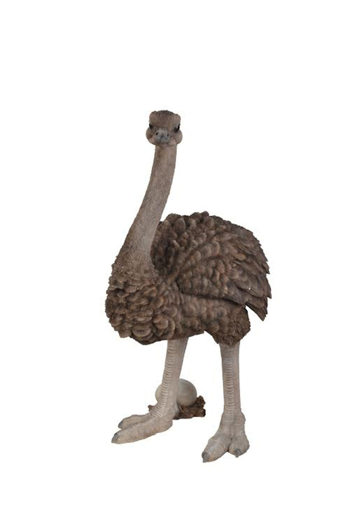 Ostrich Garden Statue Standing