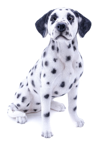 Dalmatian Dog Garden Statue