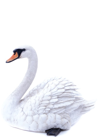 White Swan Garden Statue