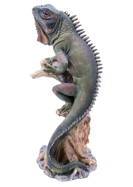 GREEN IGUANA