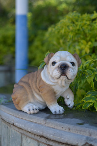Bulldog Puppy Statue