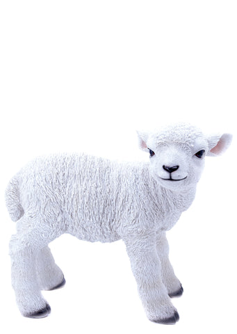 LAMB STANDING