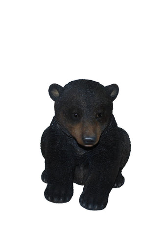 BLACK BEAR CUB SITTING