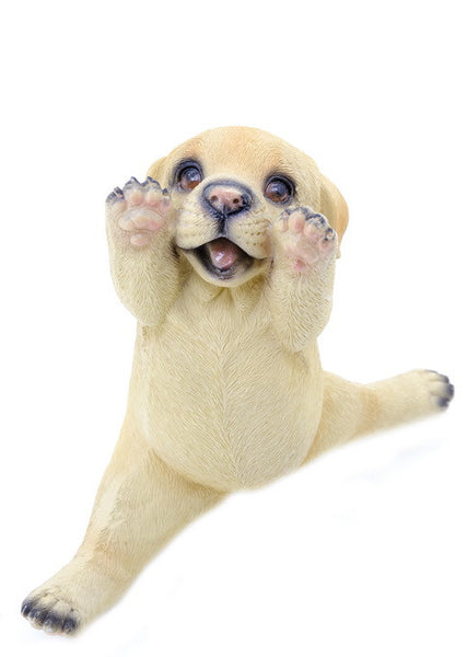 Dog-Yoga Labrador Puppy Doing Splits