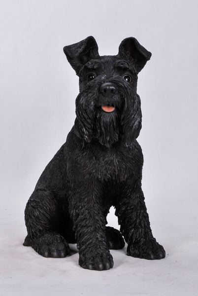 Black Schnauzer