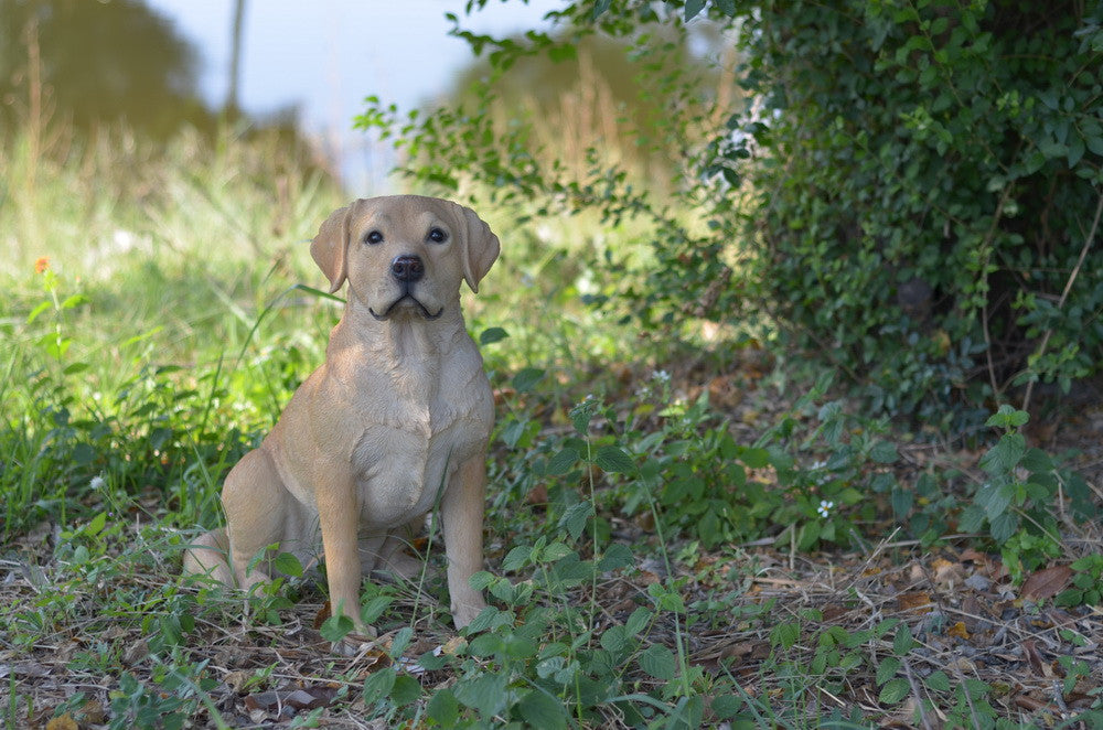 Sitting Yellow  Labrador Retriever Dog Statue